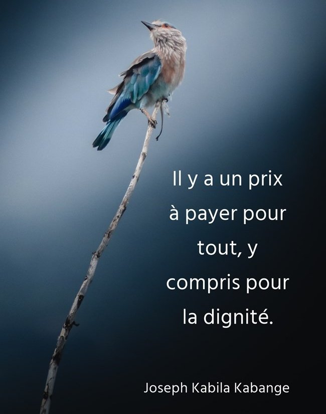 benjimk's tweet photo. Citation de Joseph Kabila Kabange

Merci cher @JonasMalutu https://t.co/c6bkuhkACU