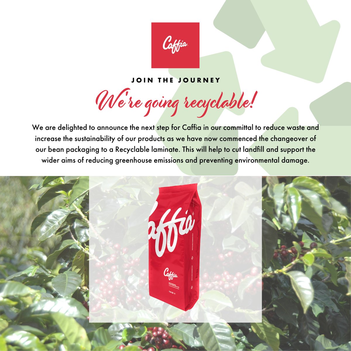 CaffiaCoffee's tweet photo. Check out our new Coffee Packaging! https://t.co/JU56afGhRB