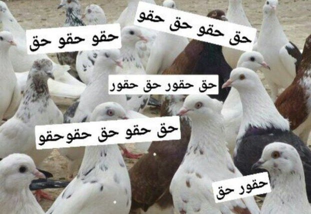 مـهــ🌙لا tweet media