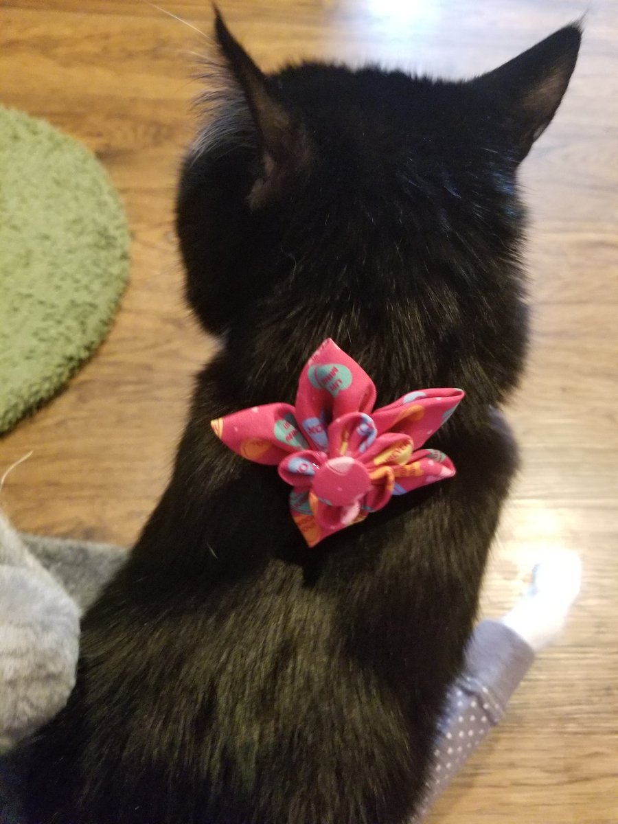🌺Flower Fancy Pants!🌺 tweet media