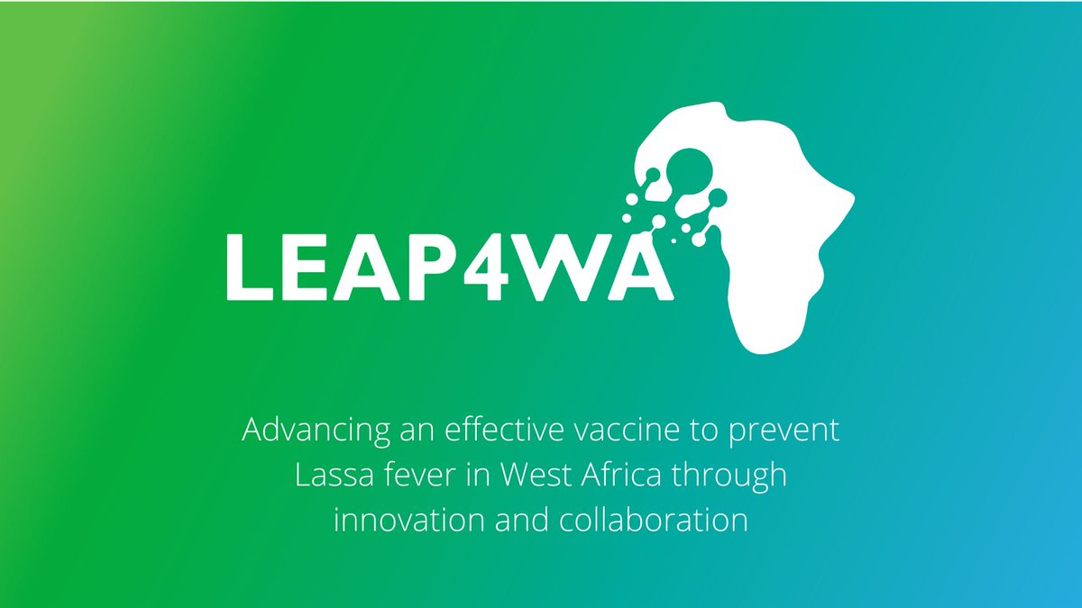 Introducing the new #LEAP4WA website – a one stop shop where you can learn about this innovative, international collaboration that is advancing an effective vaccine to prevent #Lassafever in West Africa.🌍
🔗Learn more at LEAP4WA.org