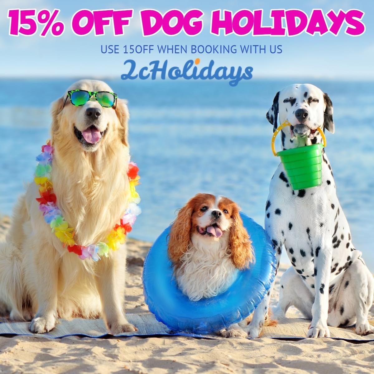 🐩🐶🐕🐕🐶Looking for a holiday that is dog friendly? You'll find the pawfect holiday for you and your dog with 2cHolidays.#dogholidays #petfriendly #holidayseason #holidayswithdogs #dalmation #dogsonabeach #pooch #seasideuk #dogfriendlybeaches #holidayswithdogs #doggo #pawfect