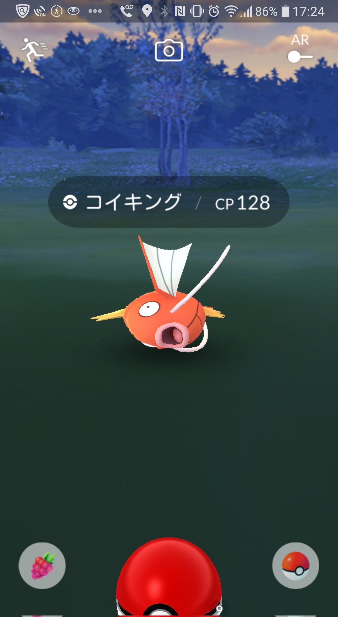 週間売れ筋 金持ちしか買えないコイキング ポケモンカードゲーム Csgard Sumdu Edu Ua