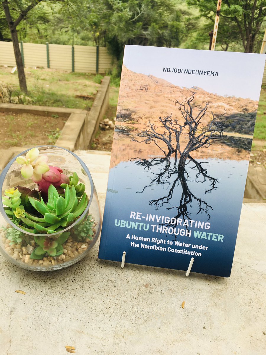 BooksRadical's tweet image. Get yourself this beautiful read by Ndjodi Ndeuyema for N$395.00.