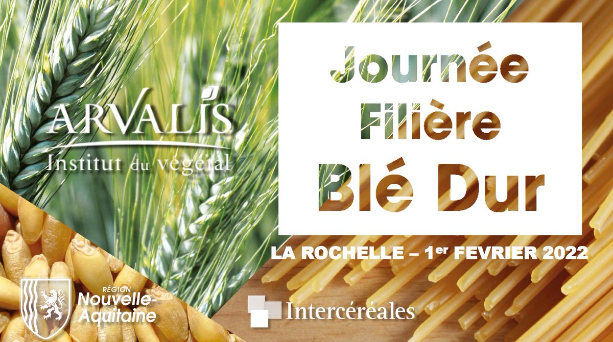 🌾24e journée filière #blédur, c'est parti!🌾
<a href="/intercereales/">Intercereales</a> <a href="/NvelleAquitaine/">Nouvelle-Aquitaine</a>
