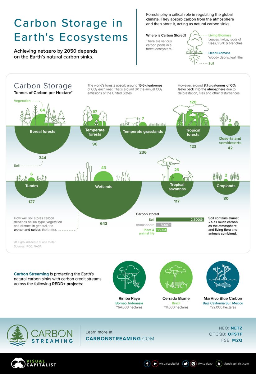 #DYK Wetlands occupy 5-8% of the Earth’s land surface yet they hold between 20 to 30% of all estimated organic soil carbon! 

This graphic from <a href="/VisualCap/">Visual Capitalist</a> shows just how vital #wetlands are! ⤵️ 

🔗 bit.ly/34hOxXs
#WorldWetlandsDay