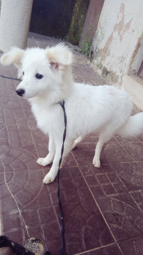 Takuluku7 Takuluku7 Twitter