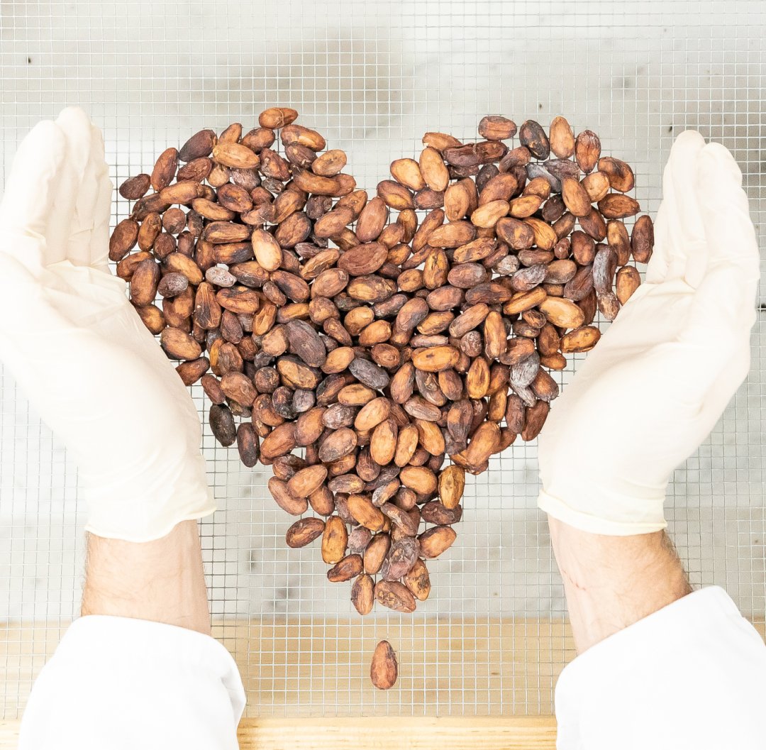 BEAU CACAO tweet media