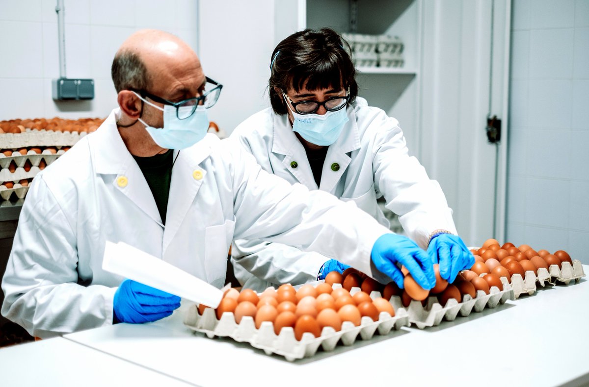 orgmater's tweet photo. 📢 Converteix-te en consumidor #ECO. ⚡ Has provat ja els 🥚 #𝗢𝘂𝘀 d'@orgmater❓ Aquest producte #Km0 sorgeix de la nostra #Vocació de servei. 👇🏽 Aconsegueix-los a 🛒 @elcorteingles, @EROSKI o @Ecoveritas. Suma't a la creació d'#Oportunitats. 💙 #DePersonesAPersones: gràcies‼️ https://t.co/V0Cd4S8P2W