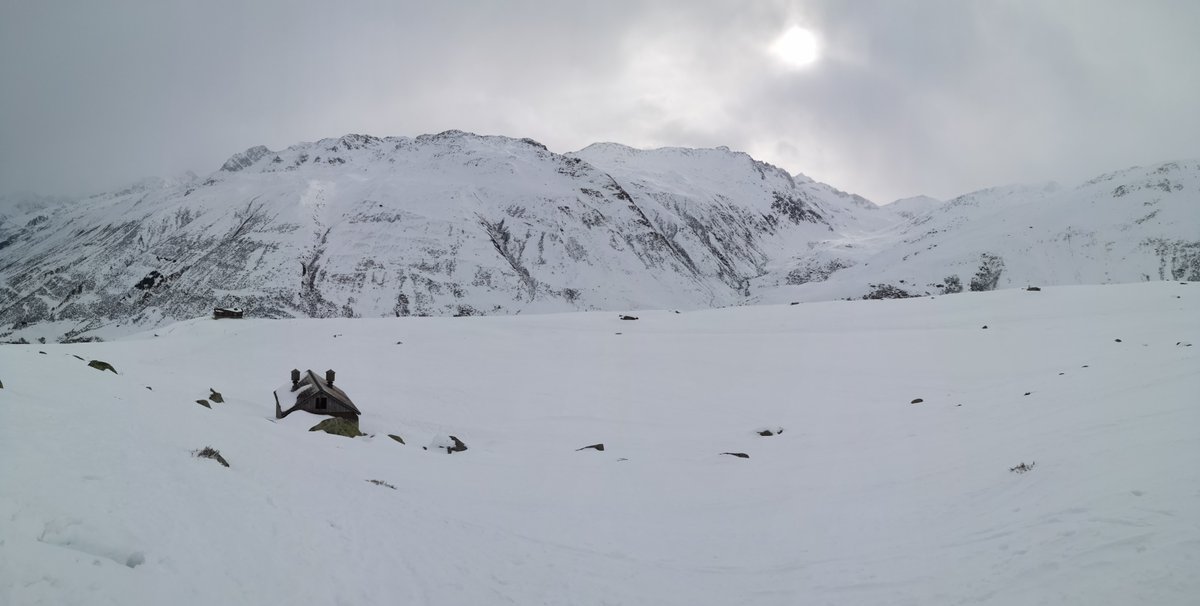 SnowfinchGroup's tweet photo. Time to gathering people from Switzerland, Austria and Montenegro and ringing #snowfinches in the Swiss Alps! Some 85 individual spotted on our arrival, 20 of them with a ring already, let's see how the week goes! https://t.co/2G39d57bFJ
