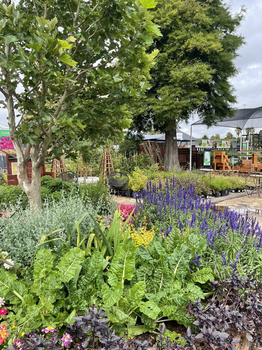 EckardsGarden's tweet photo. Can we believe February is here! Our autumn season is about to start and we’re still waiting for a full week of summer heat… #eckardscircle #displaygardens https://t.co/sFJ2mScfgp
