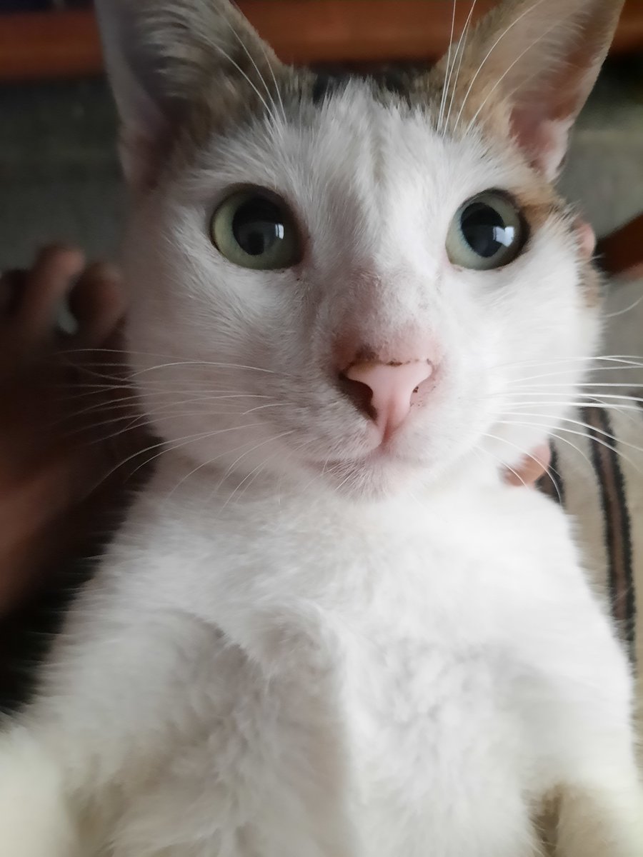 TEENAGE FUCKING LIFE tweet media