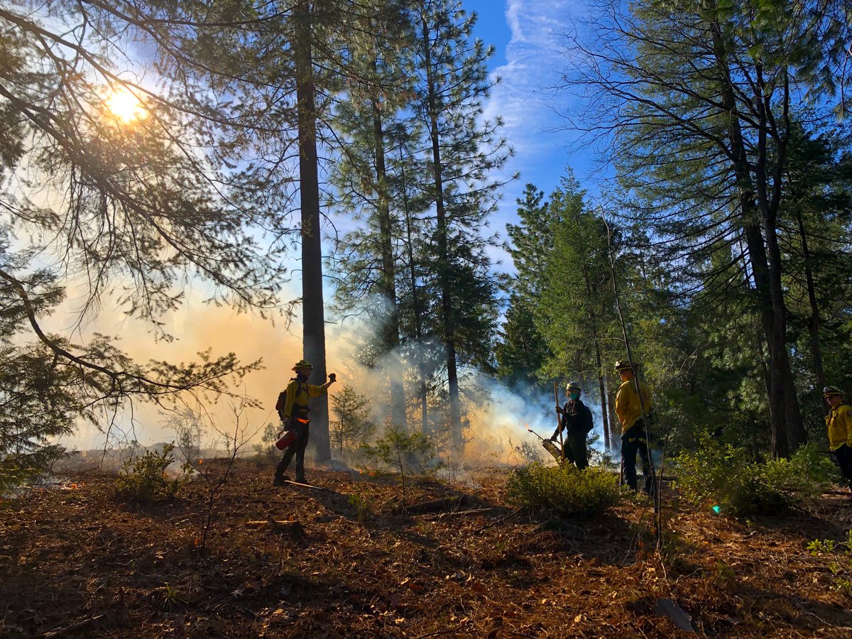 "That's what I call fuel reduction!" Another good day of returning good fire to a fire-adapted landscape with #ButtePBA !