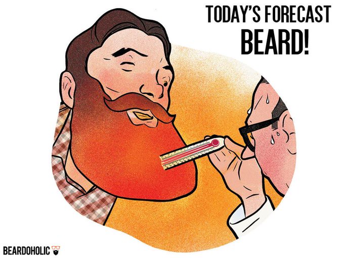 Today's Forecast: BEARD! #BeardForecast #BeardSeason