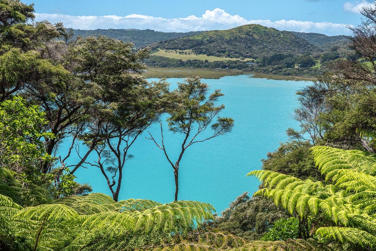 Stoked that <a href="/43rdparallel/">Sara with an H</a> and I have closed on land for a holiday house in New Zealand!

15,000 sq ft with a private beach. Context for those who aren’t familiar with Waiheke Island is here - vogue.com/article/guide-…