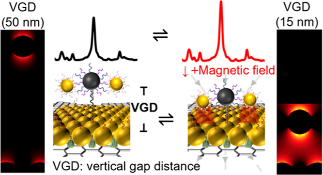 ACS_AMI's tweet photo. New research from @PolyuB: a stimuli-responsive #SERS-based platform with tunable hot spots is designed for highly sensitive and selective detection of long-chain nucleic acid such as the N-gene of #SARS-CoV-2 https://t.co/EdPRJGyHJZ @ HongKongPolyU https://t.co/oEPApjEDk9