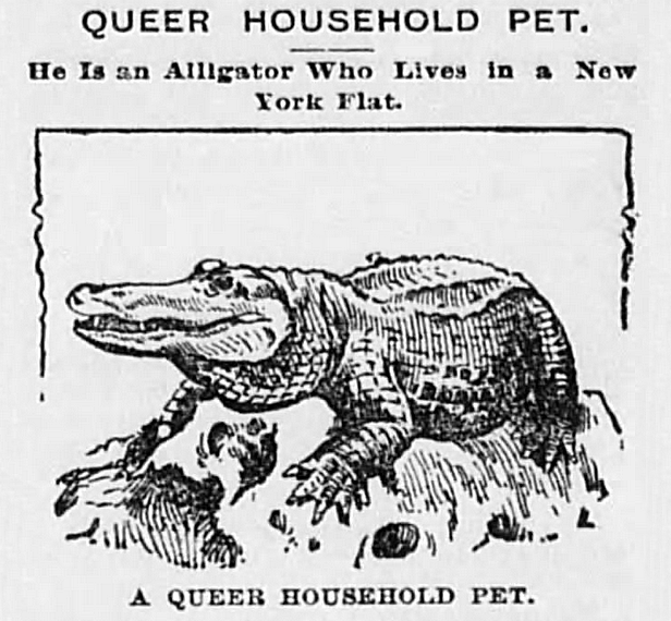 yesterdaysprint's tweet image. Perrysburg Journal, Ohio, May 18, 1895