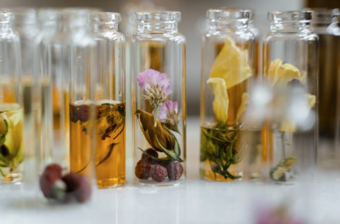 NHPRS's tweet photo. As a response to the COVID-19 pandemic, there is a growing demand for natural health products as immune support/anti-viral supplements. Learn more about the conservation status of #medicinalplant species in Canada through Susan Murch’s work: https://t.co/NjFSw6Fs3z
#NHPRS https://t.co/FybVjYXGg5