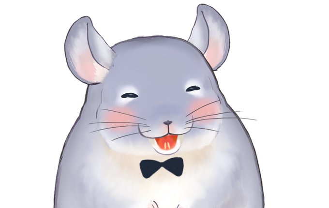 しばらくこのチンチラの姿で生きていくわ
チンチラとしてよろしくね 