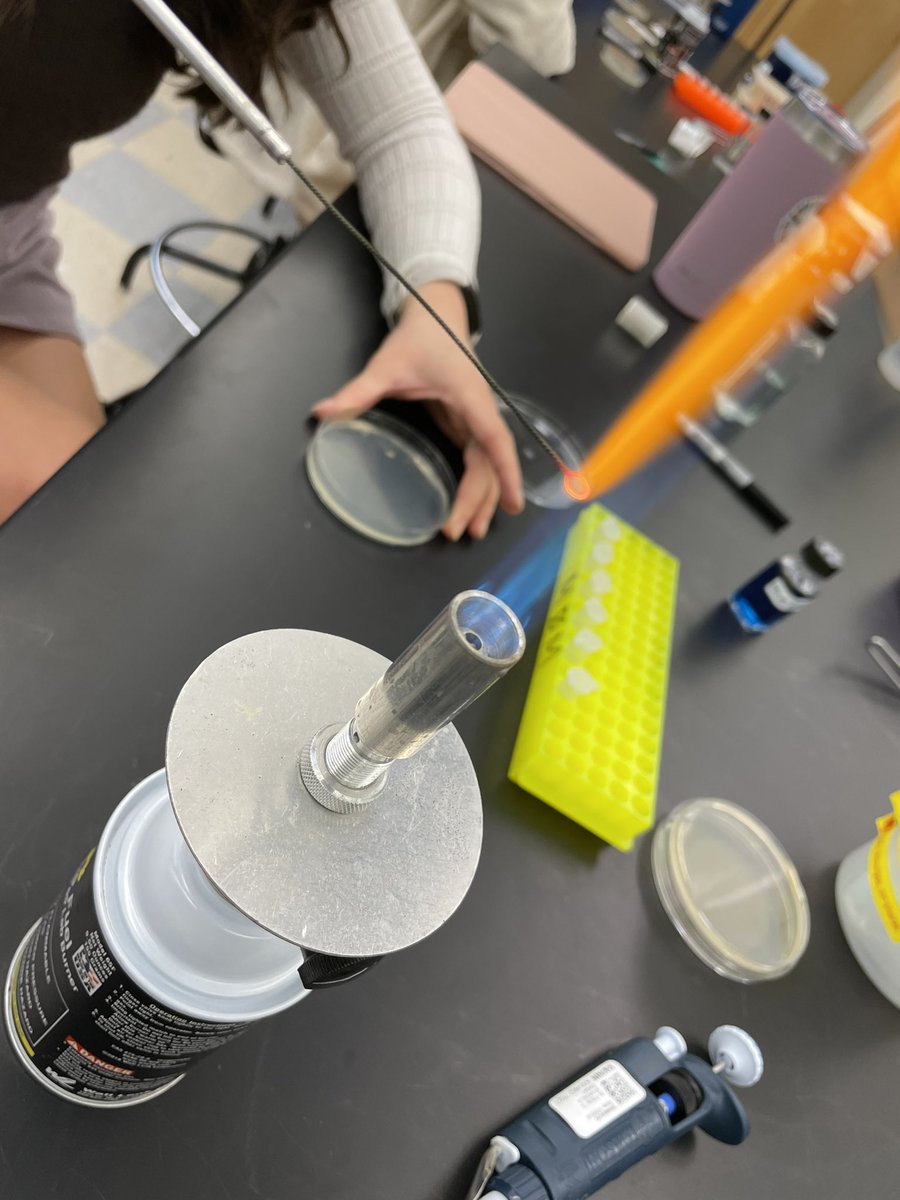 markowenmartin's tweet photo. Lab today with my #Bio111A #TeamMolecular students went well. They learned about streaking, diluting, spreading, and what happens when they swab their water bottles for #WBBs! @univpugetsound @ASMicrobiology https://t.co/fldNj2WxE2
