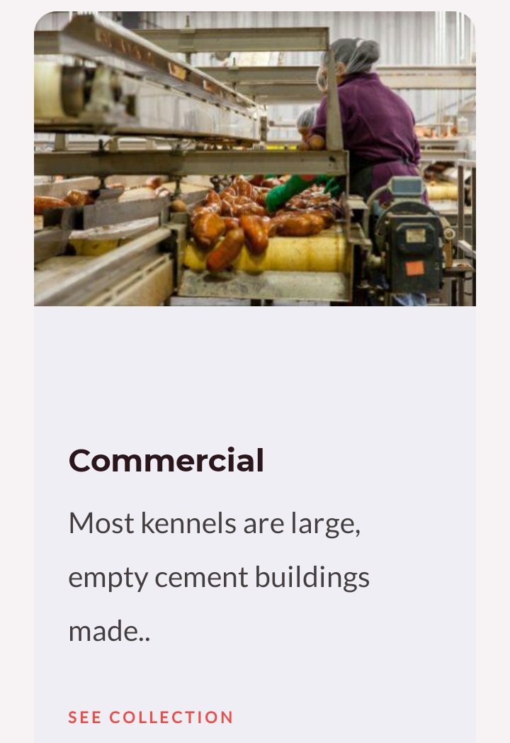 Acoustic Solutions tweet media