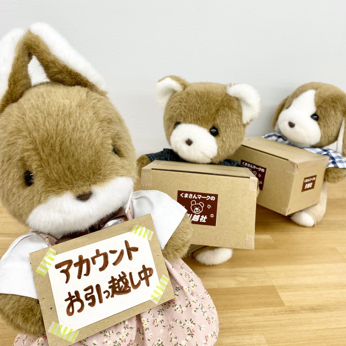 lucky_mack_sandy (@luckymacksandy1) / Posts / X