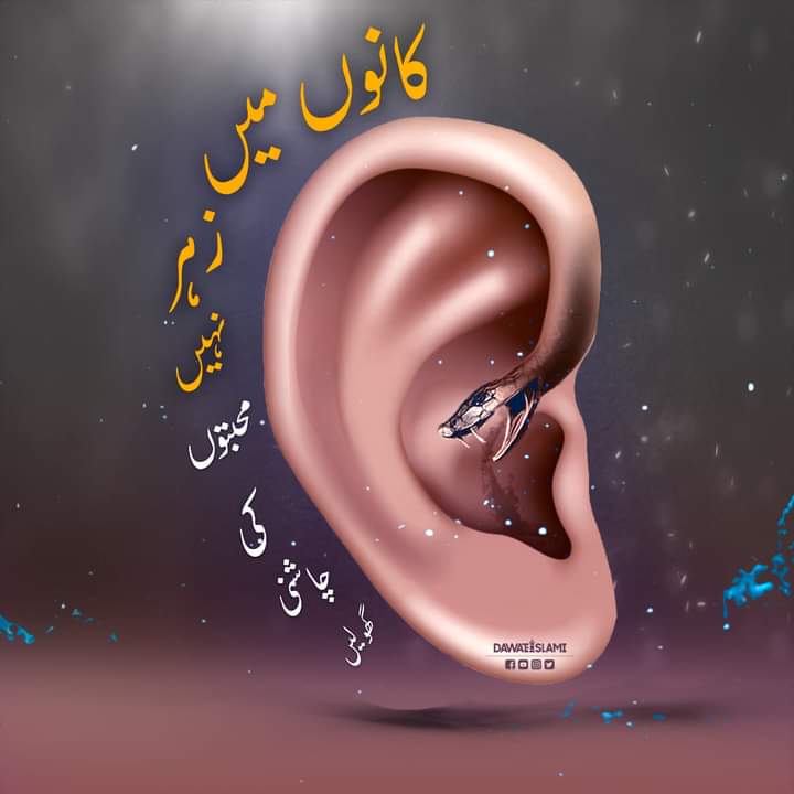 Ali tweet media
