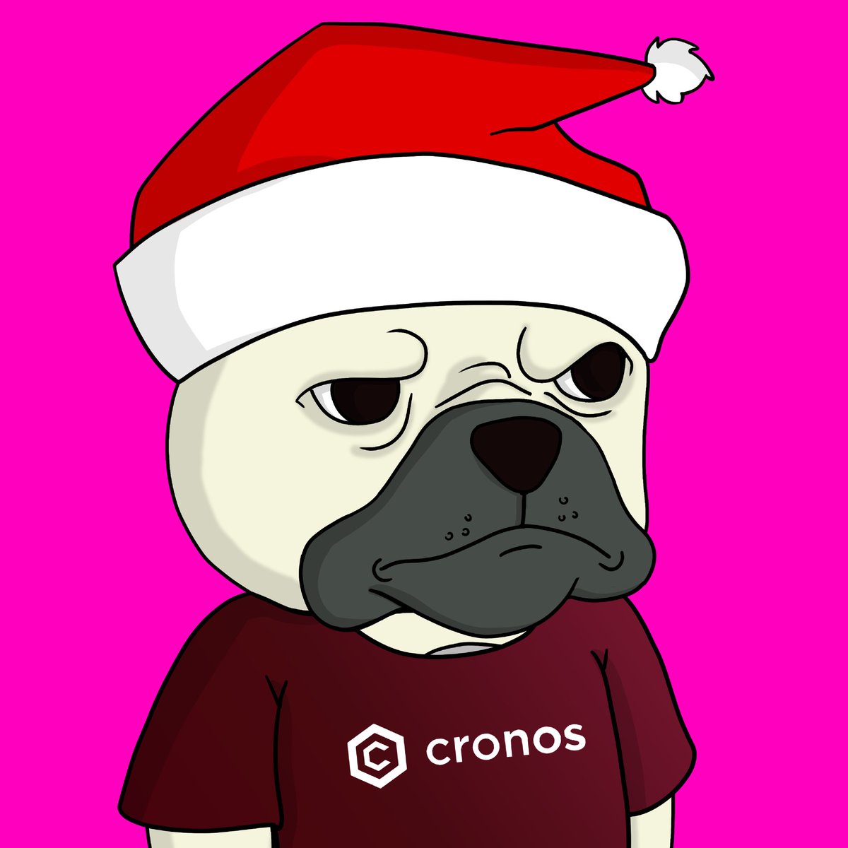 TorsethSteffen's tweet photo. This is Evan, his mood is always grumpy. All because of when he was a child,  he always wanted to be santa claus. But he is stuck in a dogs body instead #CronosDogs #Afrodog #NFTGiveway @cronosdogs https://t.co/bmgdMzix0L