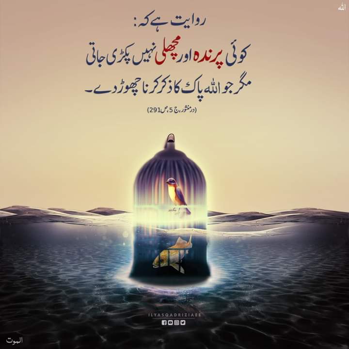 M Ibrahim khan tweet media