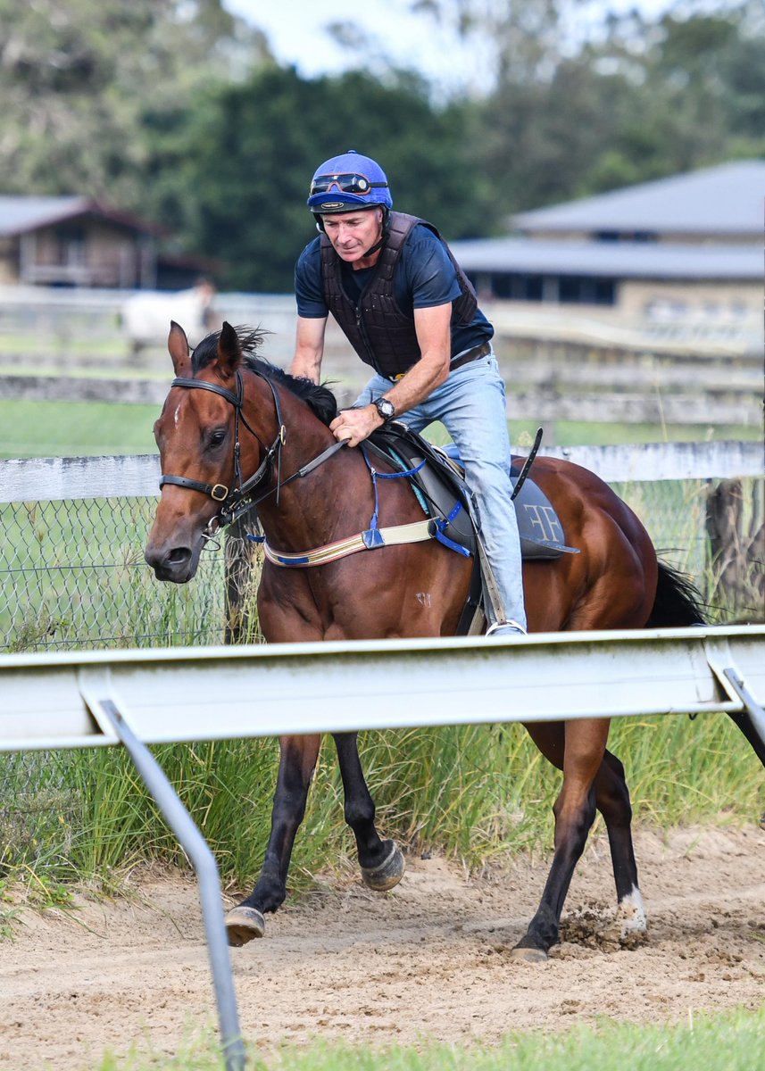 The Big Goodbye is back in pre-training for the QLD Rogues and Rob Heathcote, and boy does he look good! Who is excited to see him back at the track this preparation?! 🐎😄💪