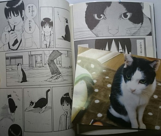 吉富昭仁(@yoshi_akihito) さんのマンガ一覧 : 古い順 : 2ページ目