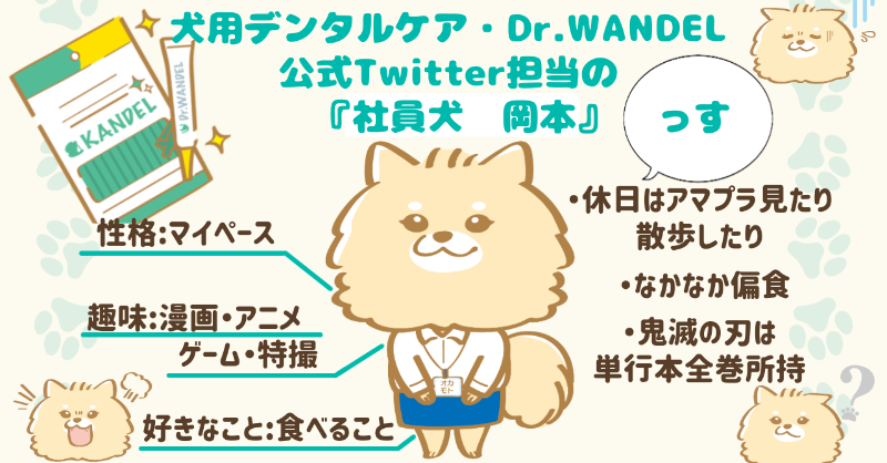 DrWANDEL(ドクターワンデル)公式 (@WANDEL_official) / Twitter