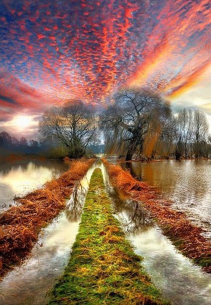 Daniella_C1804's tweet photo. Good morning 🌿🧡🤎🧡🌿 https://t.co/vyyqUa2zTu