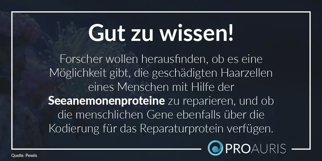 Bei einer Schallempfindungsschwerhörigkeit liegt die Ursache in einem sensorischen Defekt des Innenohrs oder des Hörnervs. Dabei sind Haarsinneszellen stark geschädigt.🦻
Alle Infos über die Schallempfindungsschwerhörikeit, erhalten Sie in unserem Blog: 👇
proauris.com/index.php/blog…