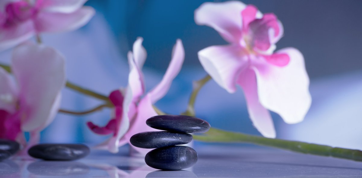 Silvertalkies's tweet photo. Did you know that #reflexology is a #medically #insured #ancienthealing practice in countries like USA and Denmark and it comes with several #physical and #psychological benefits for #olderadults? Here's all you need to know about reflexology. 

https://t.co/SKz4ucVu2z https://t.co/UpgsyMUfdm