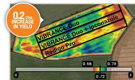 SyngentaUK's tweet photo. 🌱This NDVI shows how Vibrance Duo improved green leaf retention, leading to a healthier more resilient plant #VibranceEffect

Source: ADAS Dorset, LAUREATE spring barley, chalk soil, drilled 28th March 2020

View technical summary -https://t.co/WPnHtdqibN https://t.co/je4bzVrqK5