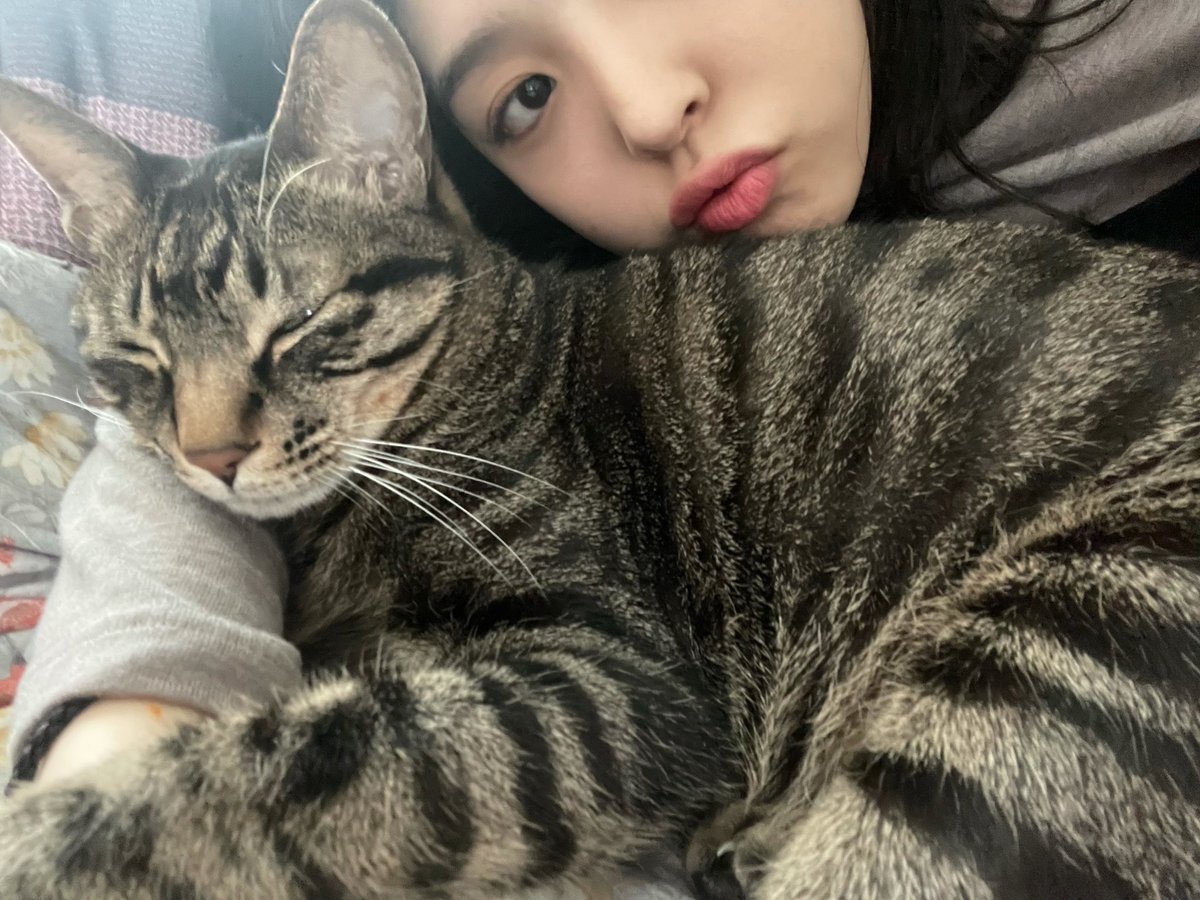 Erin_France_'s tweet photo. • UPDATE TWITTER - 01.02.22 • 

Castel bonne année 🤍
J'espère que 2022 sera pleine de choses heureuse 🥰 ( j'ai fait de la soupe de galette de riz !!! ) 

#SKYLE #스카이리 
#ERIN https://t.co/lMxMdb2xPz