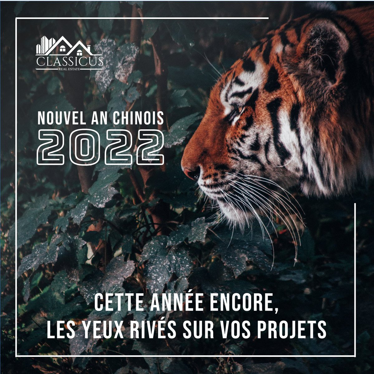 ClassicusRE's tweet photo. 恭贺新禧，万事如意。

Nous vous adressons nos meilleurs vœux pour la nouvelle année ! 🐯

Cette année encore, nos yeux seront rivés sur vos projets ! 👀

#immobilier #agenceimmobiliere #suisse #geneve #ventes #location #gerance #investissement #investissementimmobilier https://t.co/6sAcArlOe0
