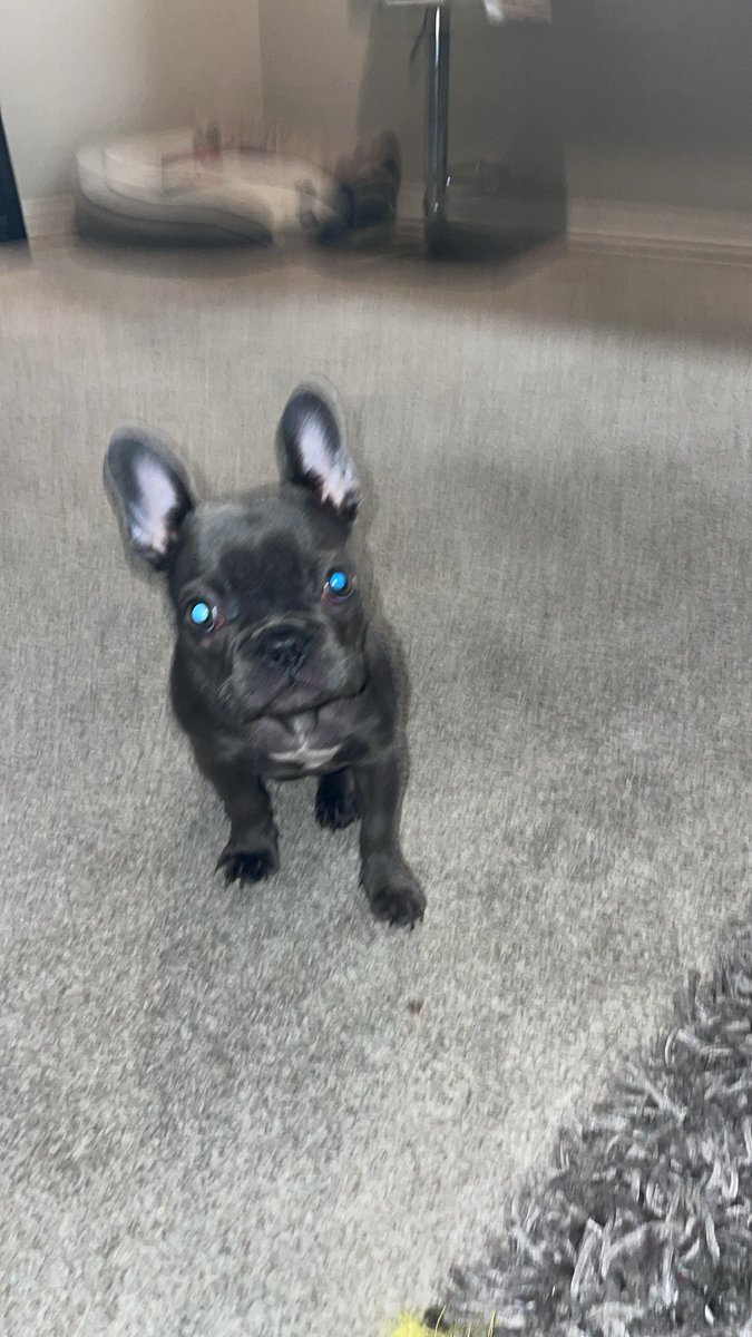 MerfMoney 🇲🇽 (@merfmoney) on Twitter photo 