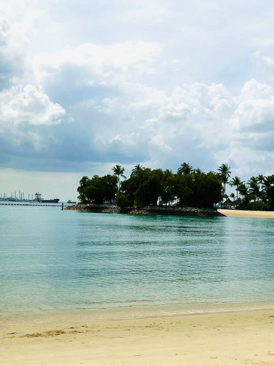 Anthony Shapers tweet media