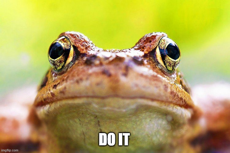 chaintoadz's tweet photo. Join the pond now and become part of #chaintoadz collectors collecting free $AVAX ๐ธ๐๐ธ
MINT IS LIVE ๐https://t.co/perzm4OCio
#NFTs #NFTcommunity #AVAX #AVAXNFT #AvaxNftRush https://t.co/xBYChQpBHm