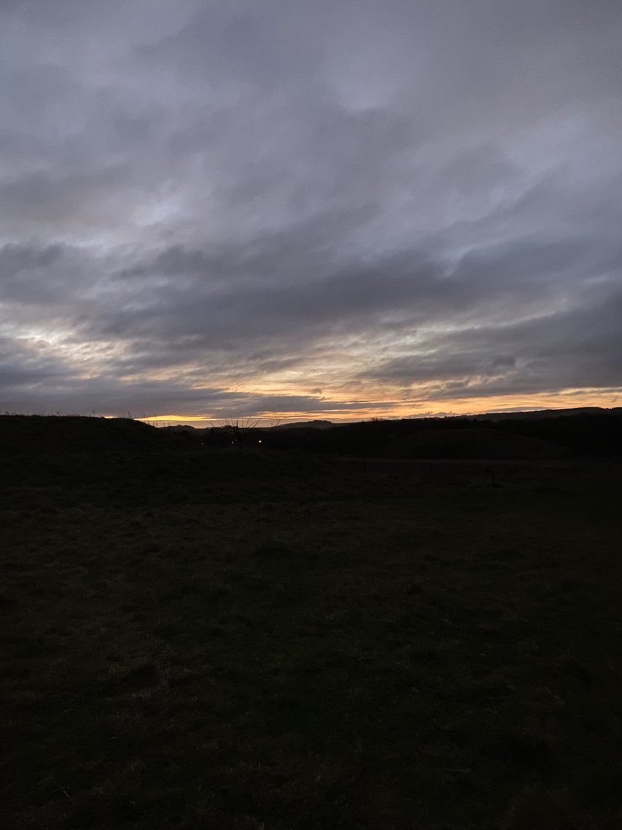 Loving the lighter mornings 🐕🐕