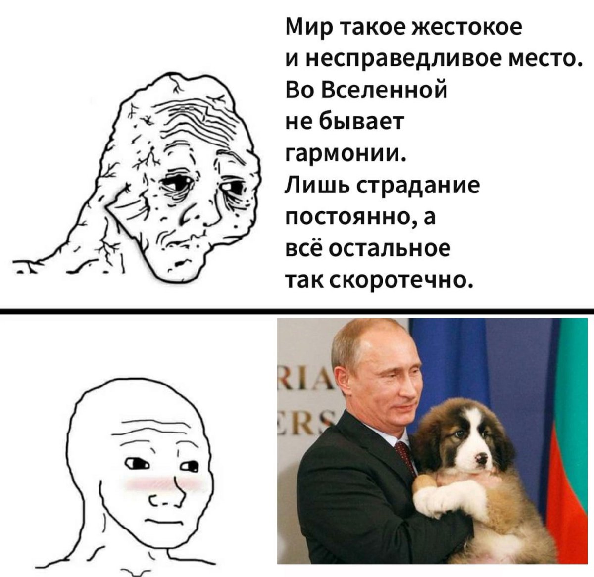 Ваня чуднейший (@gykersthe) on Twitter photo 