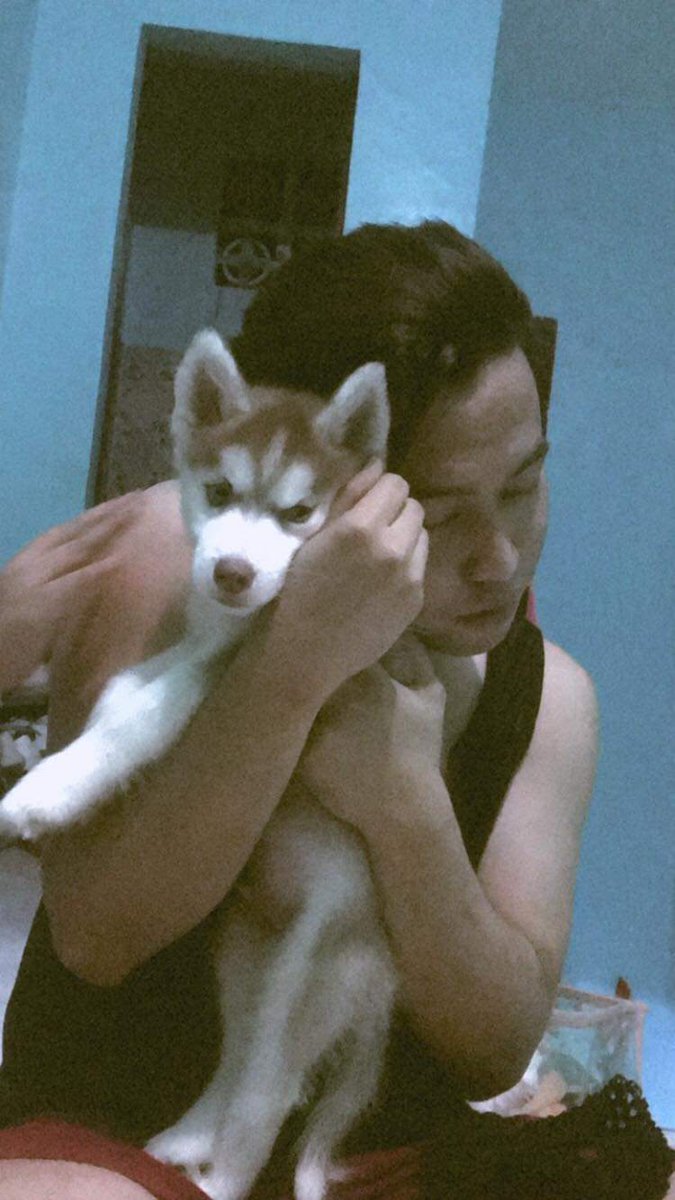 john_sedan's tweet photo. Luv luv baby Toffee 🥰🐶 https://t.co/TUszyDem9v