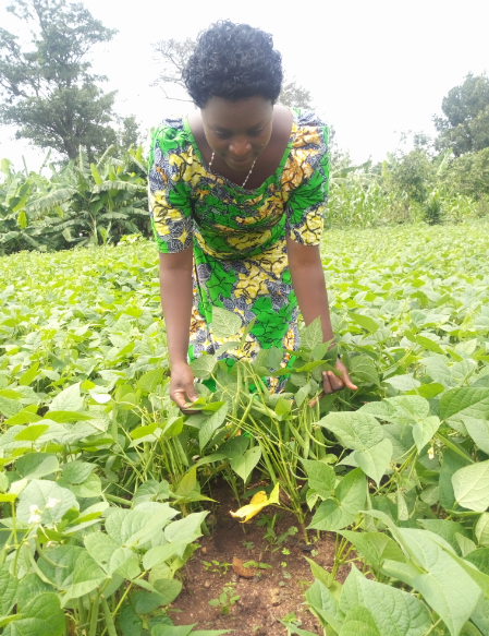 _PABRA's tweet photo. #Womenempowerment, increase in #crop #productivity, increased #income and delivery of quality agri-services. Women in #Burundi are reaping the benefits of growing and selling quality beans
https://t.co/NtWVqvuMwr
@CGIAR @genderciat @isabu_officiel @BMineagrie @BiovIntCIAT_eng https://t.co/8vU6WxfMEY