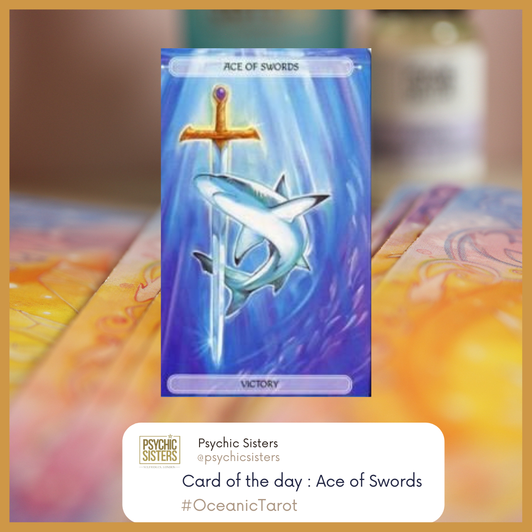 psychicsisters's tweet photo. Today things are looking up, but dont rush things, take your time, you still have some tidying to do, but know that you are on the right path!

#mediums #dailycardpull #cardreadings #intuitivereadings #intuitivecardreadings #intuitivetarotreading #intuitiveguidancereading #minire https://t.co/th8qe43XDp