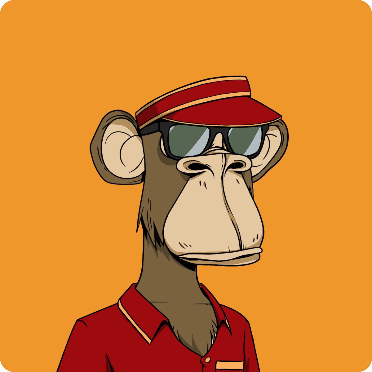 JacksonShemb's tweet image. My full @BoredApeYC trilogy is complete