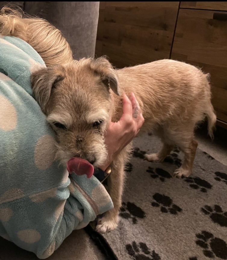 SnoopBT's tweet image. Happy #TongueoutTuesday pals ❤️#btposse