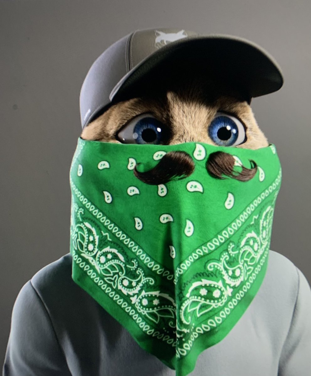 Reveal for kitty crypto gang! The art for this project is insane, have you seen this project yet?! Which project are you looking at or are already apart of? I’d love to know. Good luck yo everyone. <a href="/KittyCryptoGang/">Kitty Crypto Gang</a> #NFT #Reveal #NFTCommumity #Ethereum #blockchain