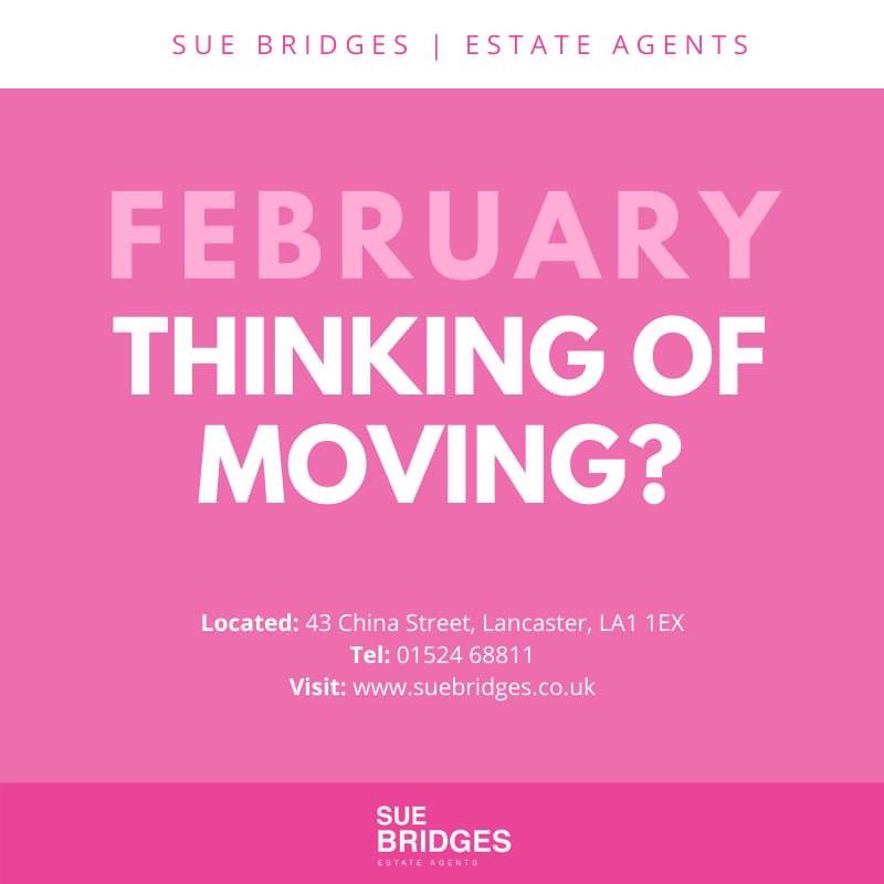 Lucy at Sue Bridges (@suebridgeslets) on Twitter photo 